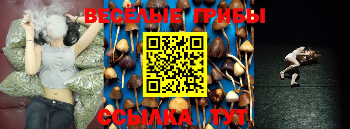 Еманжелинск  Псилоцибиновые грибы Psilocybe  Вход с VPN  Псилоцибиновые грибы Psilocybine cubensis 